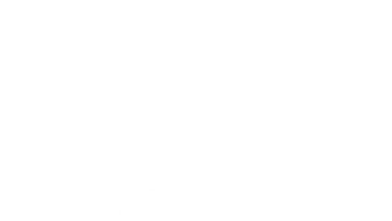韩束
