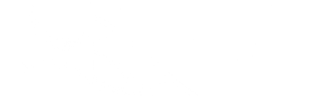 蒙牛